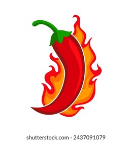 Chili pepper red hot burn for spicy flavor for food taste. Vector spicy chili pepper in fire burning