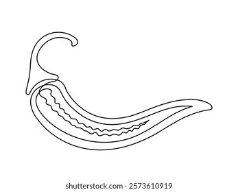 Chili pepper in section line isolated on white background. Simple silhouette of vegetable. Hand drawn chili pepper outline. Vector illustration