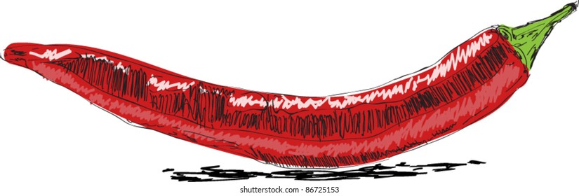 Chili pepper sketch cartoon vector illustration