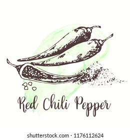 Chili Pepper sketch on watercolor paint. Hand drawn ink illustration of spicy mexican pepper. Vector design for tags, cards, packaging, promo for farm