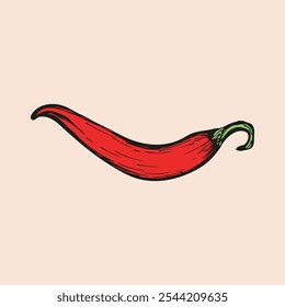 Chili pepper sketch outline illustration. Simple doodle drawing in engraving style. Hand drawn vector line art clipart 