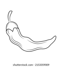 chili pepper sketch style icon