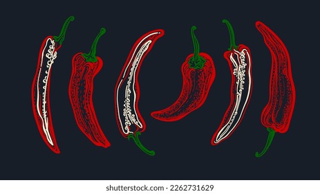 Juego de vectores de sketch de pimienta chile. Caliente picante. Símbolo con grabado vegetal aislado sobre fondo negro. Comida vegetariana, paprika roja