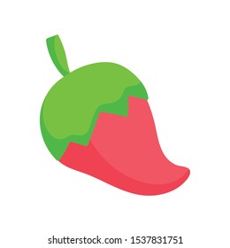 chili pepper spice ingredient on white background icon vector illustration