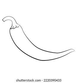 Chili pepper in a thin line. Vector on a white background.