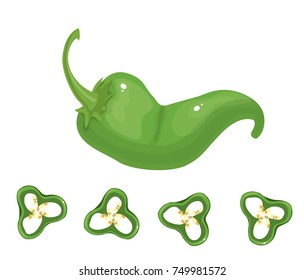 chili pepper vector
