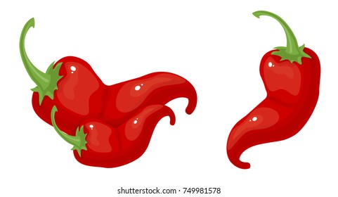 chili pepper vector
