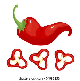 chili pepper vector
