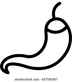 Chili Pepper Vector Icon
