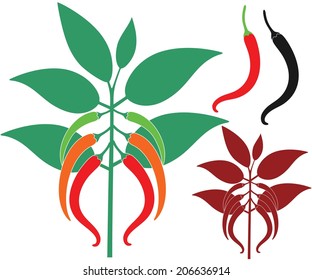 Chili Pepper. Vector Illustration