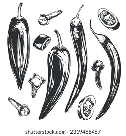 Chili pepper vector illustration. Hot mexican pepper in engraving style. Paprika whole and pieces. hand drawn ink drawing for packaging, menu.