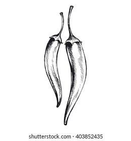 Chili Pepper, Vector Illustration Of Hot Peppers
