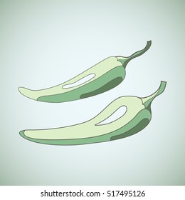 Chili pepper, vector illustration of hot peppers