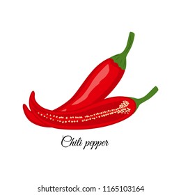 Chili pepper  vector illustration isolated on white background. Hot pepper