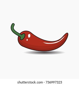 A chili pepper. Vector illustration. Isolated fresh red pepper.