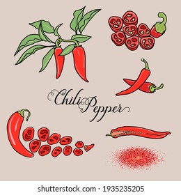 Chili pepper vector set. Pepper on a branch, a pod in a section, ground paprika, slices of chopped red pepper. Color illustration on a beige background.