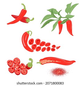 Chili pepper vector set. Pepper on a branch, a pod in a section, ground paprika, slices of chopped red pepper. Color illustration on a white background.