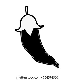 chili pepper vegetable icon image 