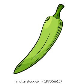 Chili Pepper. A vegetable in a linear style, drawn by hand. Food ingredient, design element.Color vector illustration with outline. Isolated on a white background.