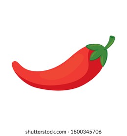 chili pepper vegetable in white background vector illustration design