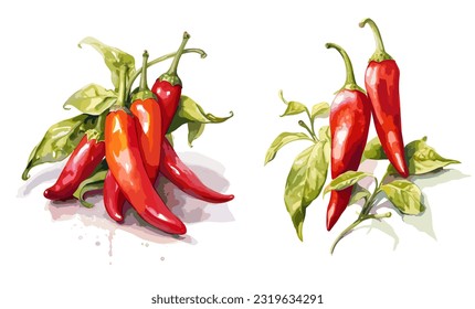 Red Chili Pepper PNG Transparent Images Free Download, Vector Files