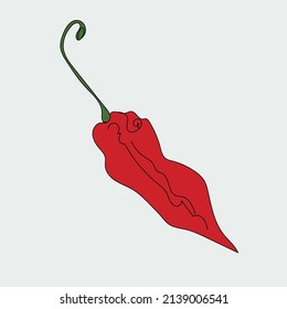 Los pimientos chilli de manera concisa para sus ideas