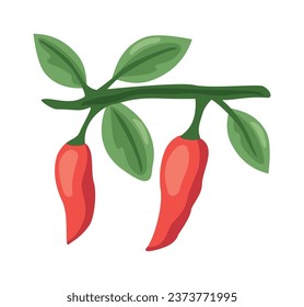 chili peppers design vector isolated