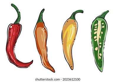 Chili peppers of different colors, vector