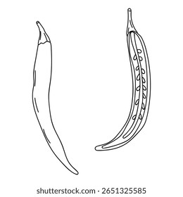 chili peppers displayed side by side on a white background highlighting their unique shapes and textures