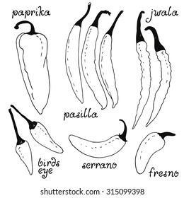 Chili peppers food collection, vector chili peppers set, hand drawn food set, pepper food icon set, isolated on white background