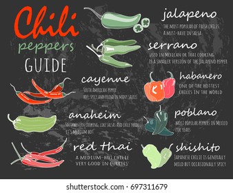 Chili peppers guide. Graphic vector illustration. Chalkboard style