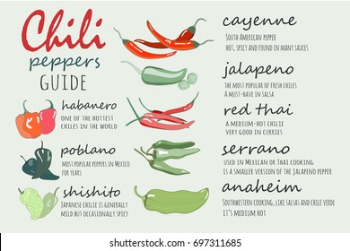 Chili peppers guide. Graphic vector illustration