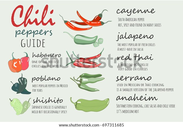 Chili Peppers Guide Graphic Vector Illustration Stock Vector (Royalty ...