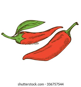 chili peppers hand drawn