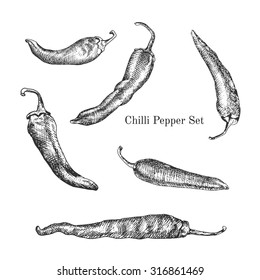 Chili peppers ink sketches set. Contour outline style. It can be used for package in organic ecological stile or for other goals like decorative design elements.