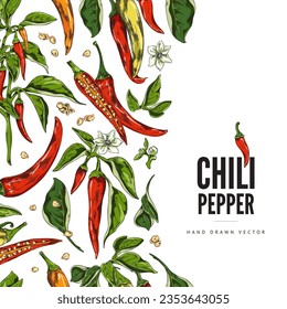 Chili peppers, leaves, flowers and seeds. Spicy organic vegetables with foliage. Healthy food color poster with logo. Agricultural cayenne paprika plant. Hand drawn vector label design template