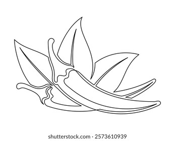 Chili peppers with leaves line isolated on white background. Simple vegetable silhouette. Hand drawn chili peppers outline. Vector illustration