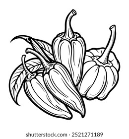 Chili Peppers Outline Vector Illustration on White Background