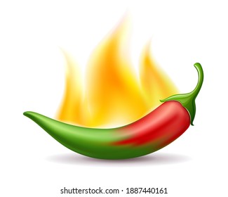 Chili peppers red gradient green fire hot, design isolated on white background, Eps 10 vector illustration
