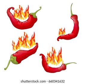 Chili peppers set of cartoon vector illustration, three red peppers with fire, with flames on white background
