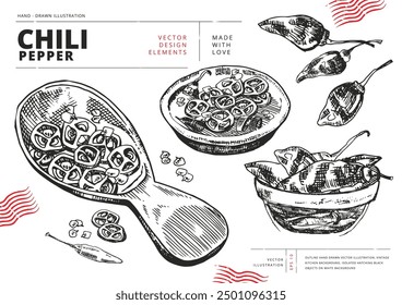 Сhopped chili peppers in a spoon, plate, bowl, dried peppers and seeds. Outline hand drawn vector illustration. Vintage kitchen background. Isolated hatching black objects on white background.