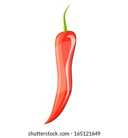 chili, vector illustration