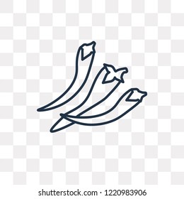 Chili vector outline icon isolated on transparent background, high quality linear Chili transparency concept can be used web and mobile