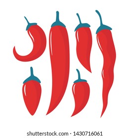 Chili Vector Set. Red Pepper Illustration