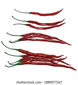 Chilis Vegetable Illustration Vector Set Taken Several Angles Isolated On White Background Good To Use For Food Magazine, Brochure And Ingredients