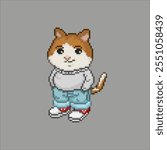 Chill gato, meme arte pixel