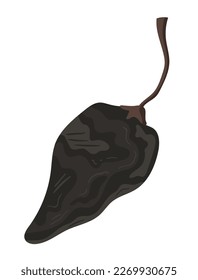 chilli chipotle pepper vegetable icon