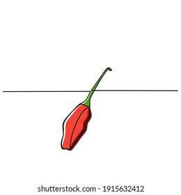Chilli continuous one line art design isolated on white background. 