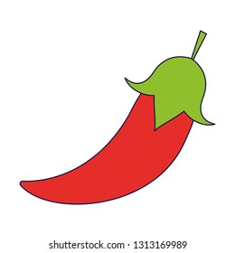 chilli fresh vegetable cartoon