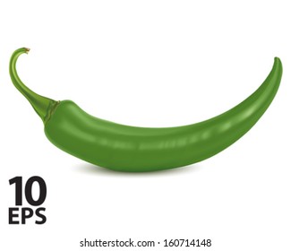 Chilli Green. Vector Illustration